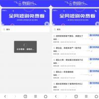 引流源码短剧搜索前端源码+内附搜索API